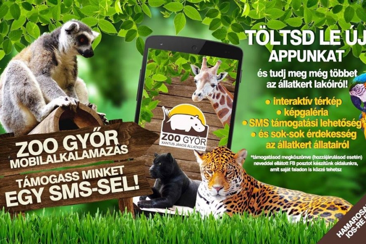 Ma este Állatkertek éjszakája - a győri állatkert részletes programja!