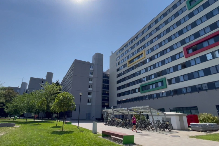 Teltház a kollégiumokban