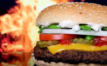 Európai gyorséttermekben is találkozhatunk a komáromi papírgyár termékeivel