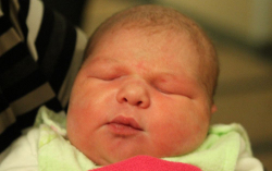 Vitéz Nóra Piroska 