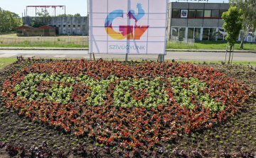 Idén is virágba borul Győr