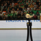 2017.11.06. Győri Audi Eto KC-Rostov Don női kézilabda Bajnokok Ligája Fotók:árpika .