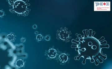 Vírusok a tél végén – Mi kering most leggyakrabban?