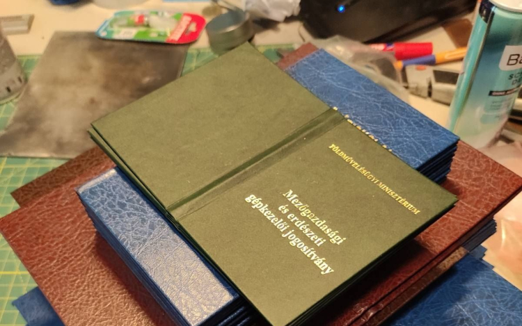 Okmányhamisító testvérpárost fogtak el Győrben