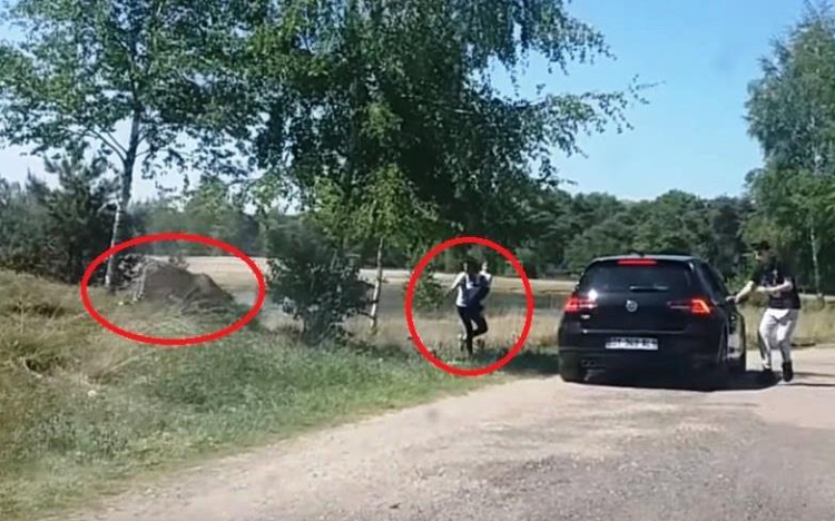 Gepárdok támadtak meg egy családot