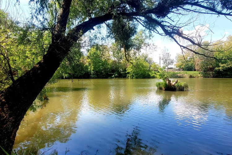 Egy kis evezési kisokos a szigetközi vízi paradicsomhoz