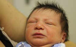 Régi-Farkas Benedek