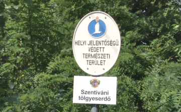 Védett lett a Tölgyes erdő