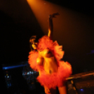 Club Vertigo -  The Closing 2013.04.20. (szombat) (Fotók:Vertigo)