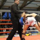 2013.03.31 Szombat IV.KOKO-GYM Küzdősport gála (1) fotók:árpika