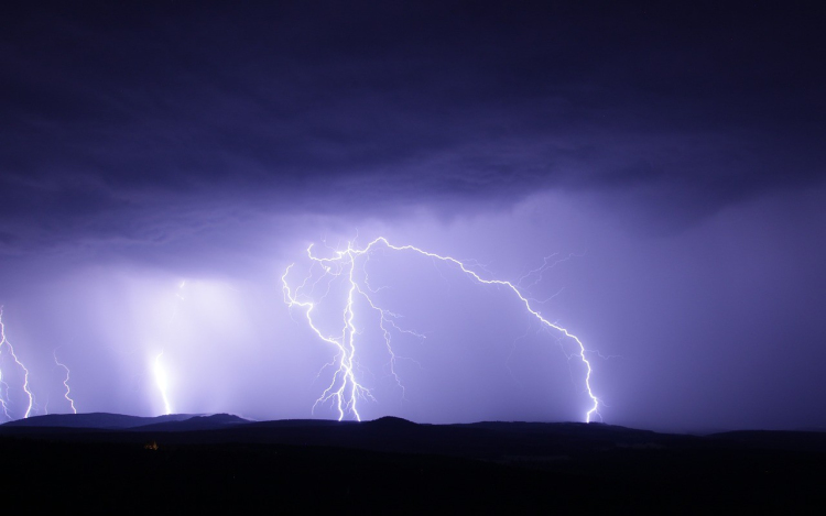 Rekordmennyiségű bejelentés érkezett tavaly