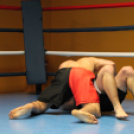 2013.02.16.Szombat Profi MMA És Box Mérkőzés Fotók:árpika