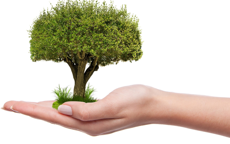 Új „zöld irányvonalat” hirdetett a VOSZ Győr-Moson-Sopron megyei elnöke