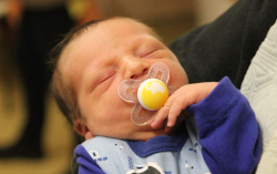 Zsebő Milán Dániel 