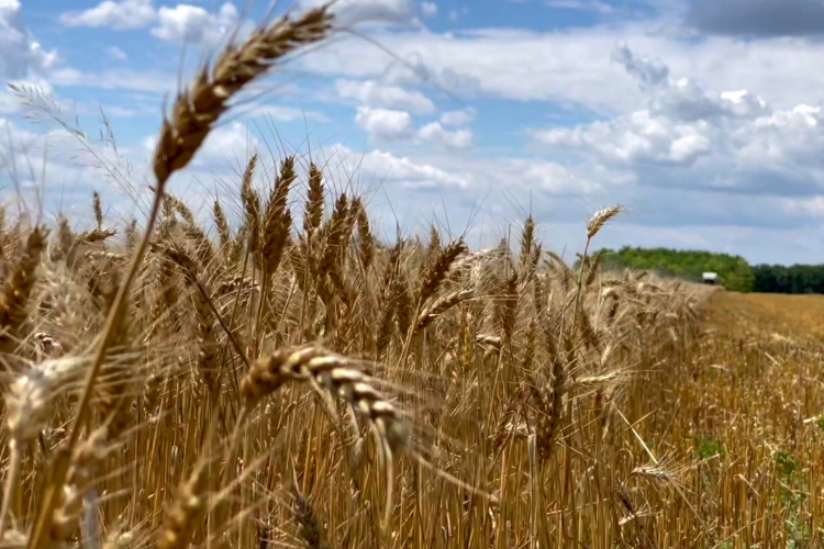 Újabb segítséget kapnak a gazdák