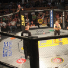 2015.05.09. Profi MMA Gála fotók:árpika