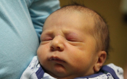 Csemez Áron Miklós 