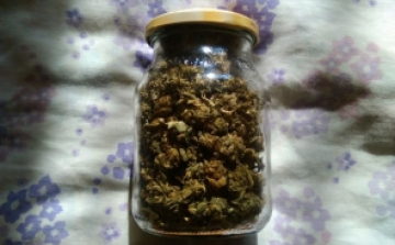 Két férfit tartóztattak le kábítószer birtoklásáért