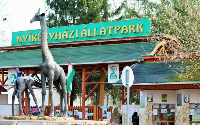 Állatokról nevezik majd el az épülő Hotel Dzsungel szobáit Nyíregyházán