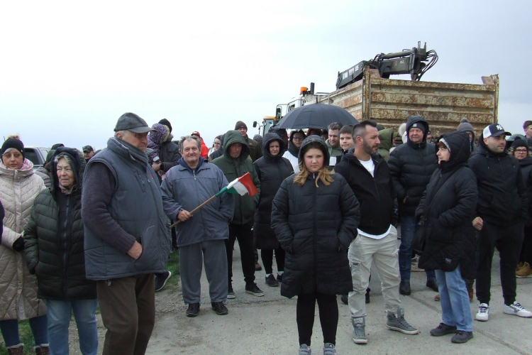 Nem Jánossomorjára, hanem Bábolnára viszik a lelőtt marhákat