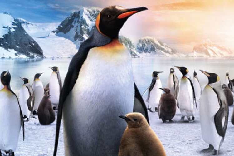 Február 21-én kerül a mozikba A Pingvinkirály