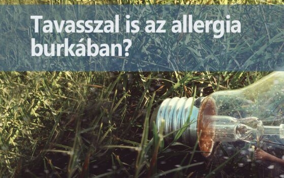 Hogyan tudjuk felszámolni a pollen és allergia gondokat?