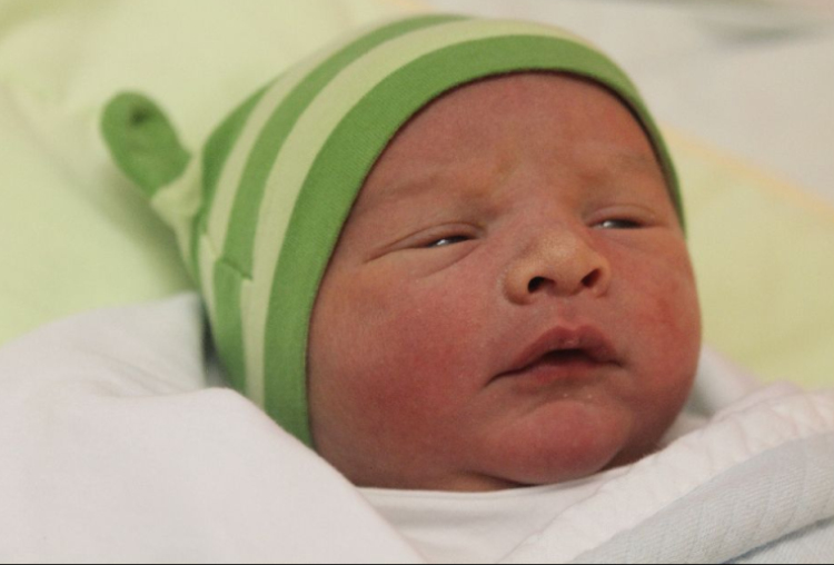 Tolnai-Szabó Zénó