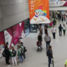 2017.07.27. EYOF 2017 Győr 4.nap Fotók:árpika 