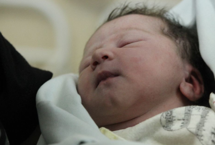 Sárközi Dzsenifer Olga