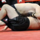 2013.03.31 Szombat IV.KOKO-GYM Küzdősport gála (2) fotók:árpika