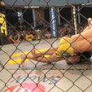 2015.05.09. Profi MMA Gála fotók:árpika