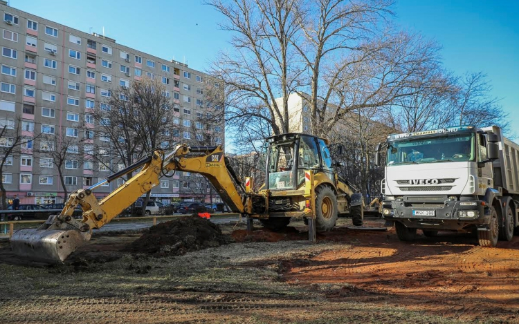 Zöldebb lesz Adyváros, többszörösen pótolják a kivágott fákat