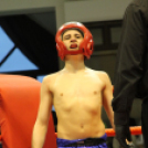 2013.03.31 Szombat IV.KOKO-GYM Küzdősport gála (1) fotók:árpika