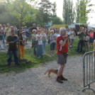 2013.05.01.Szerda MájusFeszt Győr fotók:Adrián