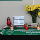 2013.10.13. Vasárnap Összefogás Gála Fotók:árpika