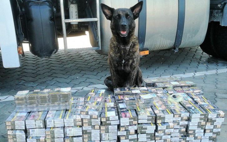 Django mindent kiszimatolt