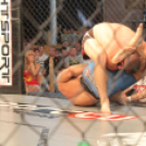 2015.05.09. Profi MMA Gála fotók:árpika