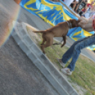 2013.06.23.Vasárnap SzFeszt 4.nap Fotók.árpika