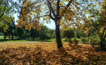 Kora nyári idő jön a késő őszbe