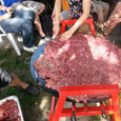 Kuckó Mackó 5. születésnap és jótékonysági evőverseny