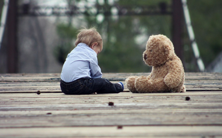 Külföldre is eljutott a macigyűjtő akció híre 