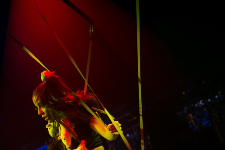 Club Vertigo -  Sterbinszky 2013.11.23. (szombat)