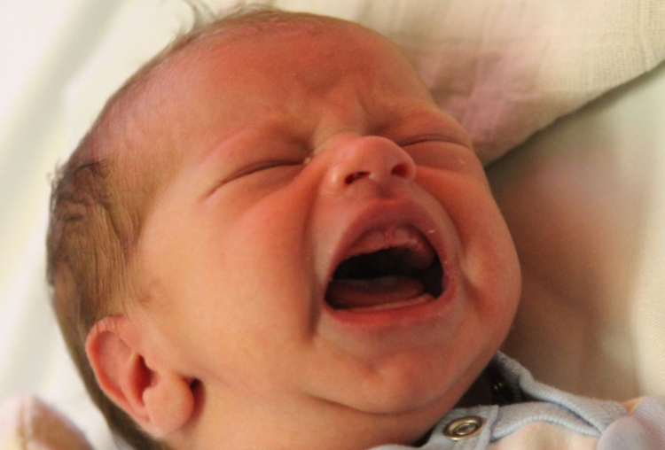 Szente Leila Julianna