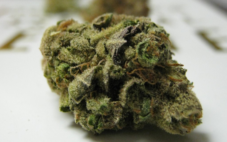 Nálatok mennyibe adják a füvet?