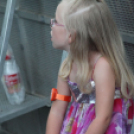 2013.06.22 Szombat SzFeszt 3.nap Fotók:árpika