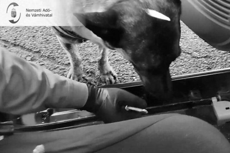 Szomorú hír érkezett: Djangótól búcsúznak a pénzügyőrök