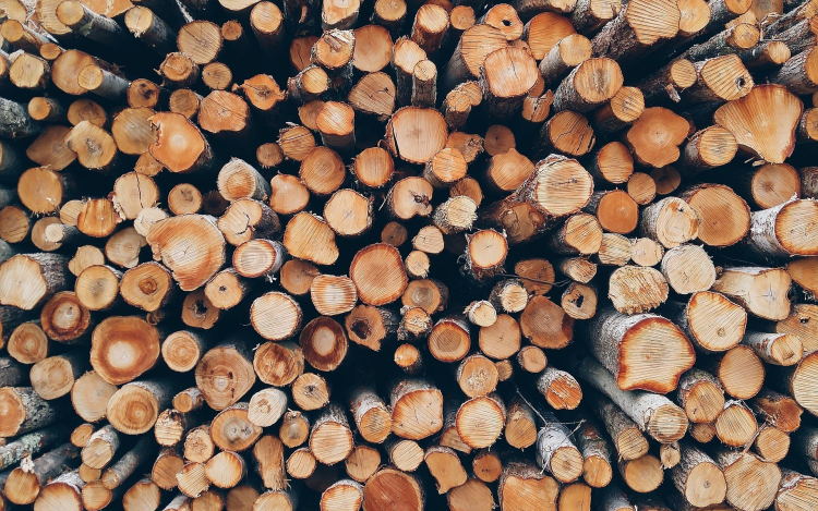 Tűzifát igényelhetnek a rászorulók Győrben