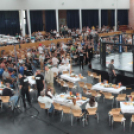 2015.05.09. Profi MMA Gála fotók:árpika