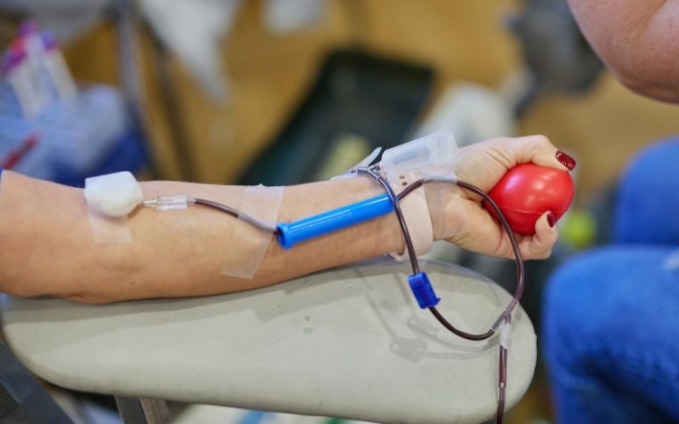 Kilencvenhatan adtak vért a Városházán