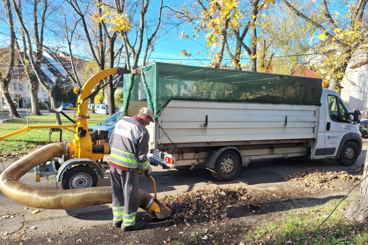 Folyamatosan gyűjtik a lombot Győrben